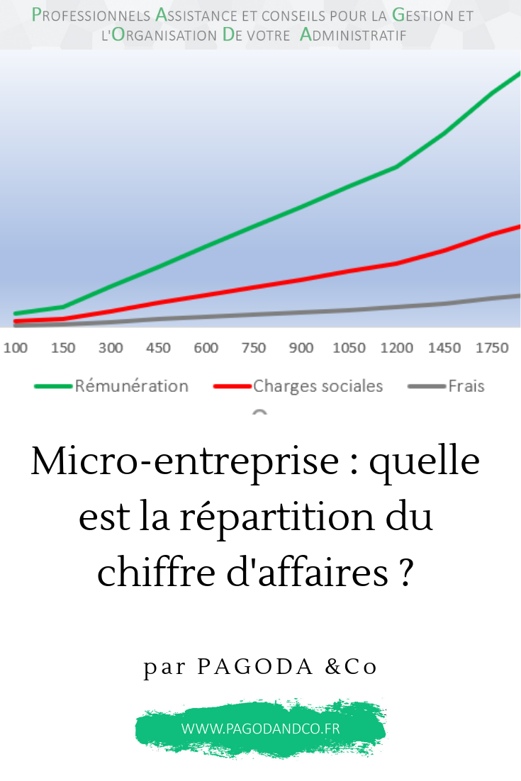 Micro-entreprise : quelle est la répartition du chiffre d'affaires ?